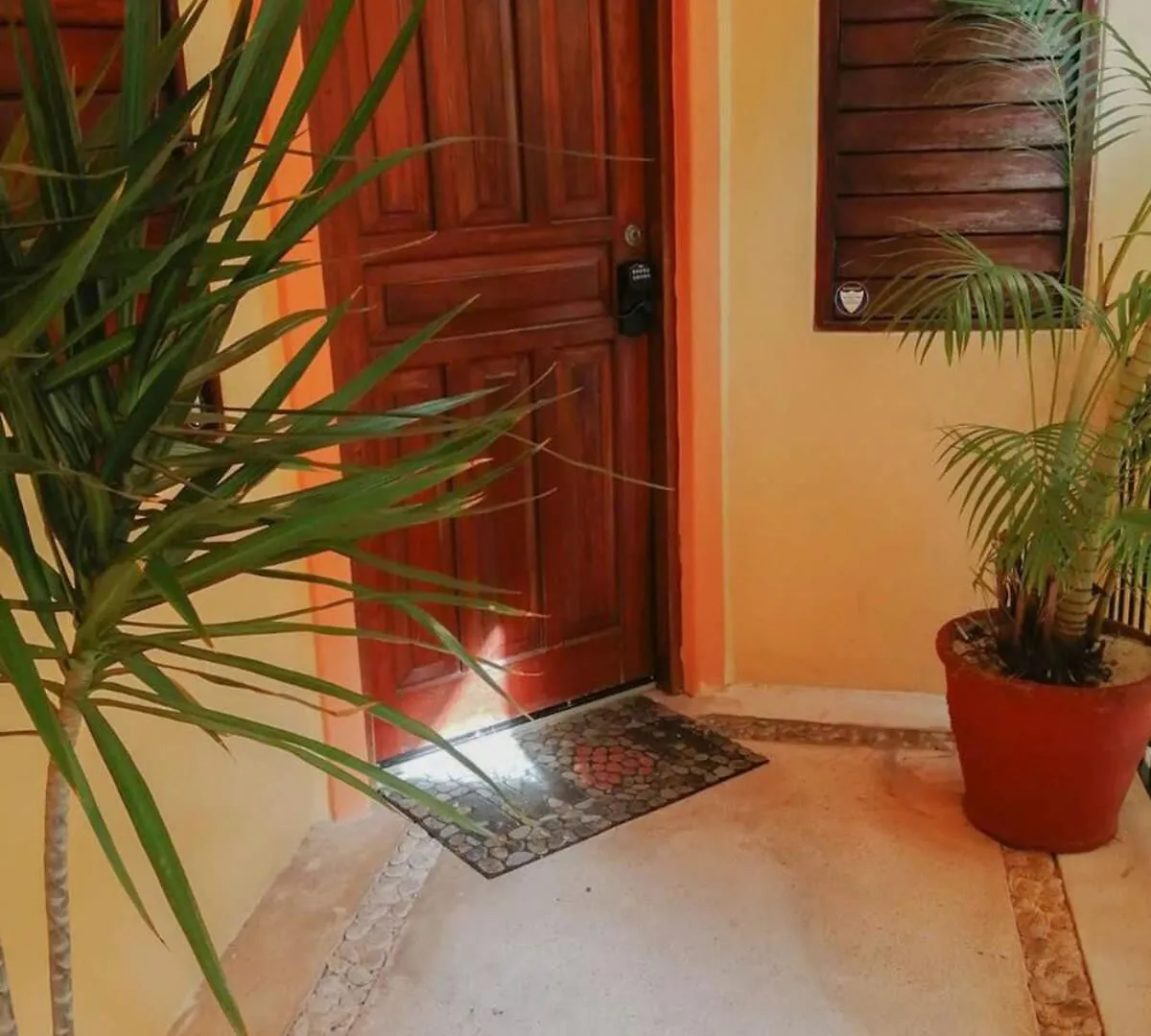 Steps To 5Th Ave Pool Onsite & Walk To Beach Playa del Carmen 0*,  Mexico